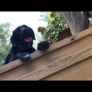 Meet your Posher, Elizabeth